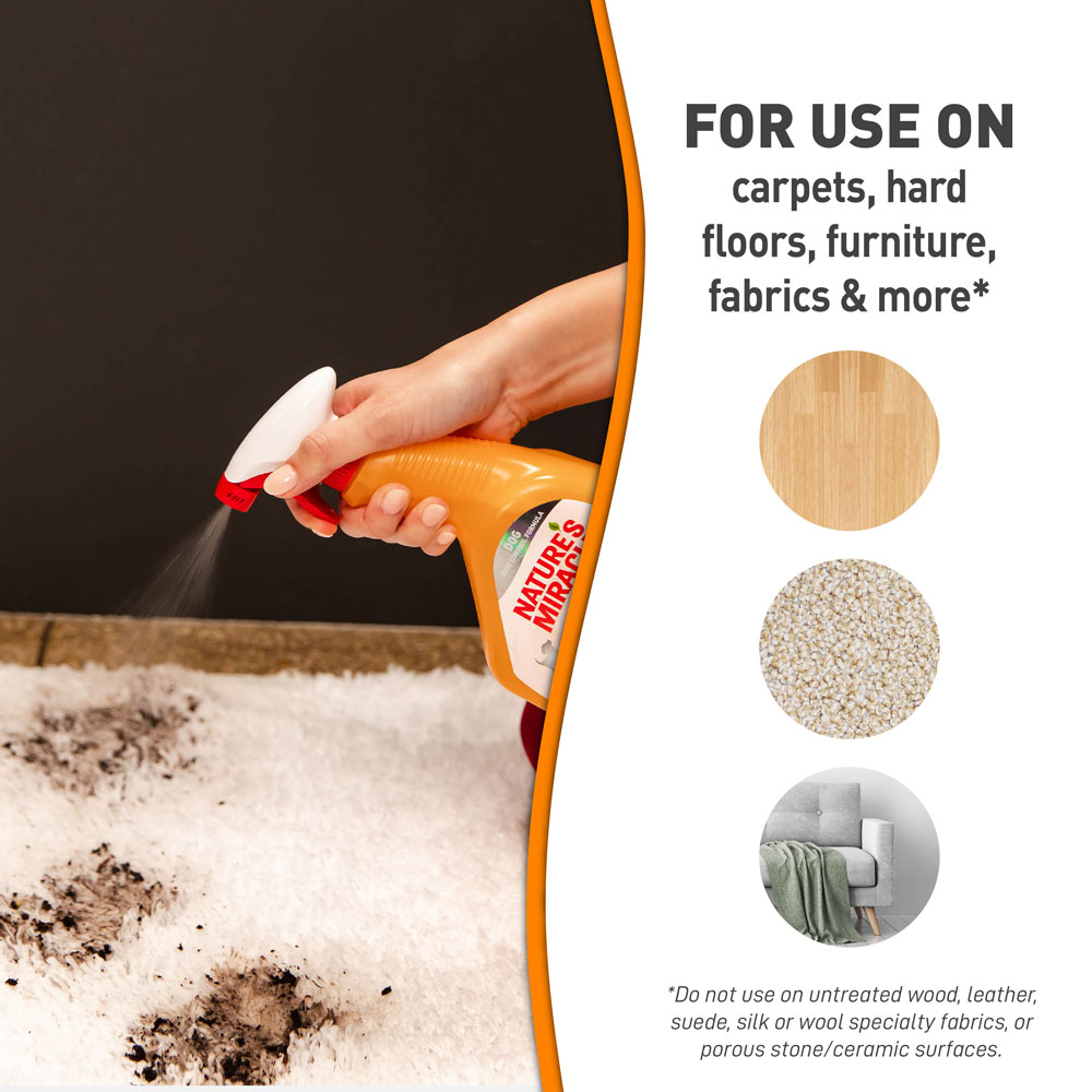 Set In Stain Destroyer for Dogs Nature s Miracle